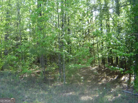 0 Liberty Hill Rd, Lagrange, GA 30240 photo 23