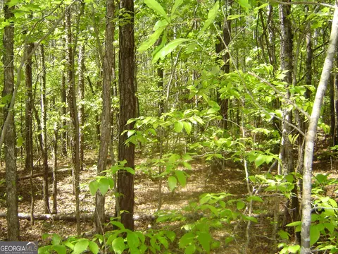 0 Liberty Hill Rd, Lagrange, GA 30240 photo 28