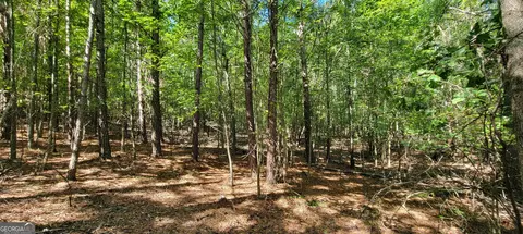 5 Ripplewood Trl, Euharlee, GA 30145 photo 3