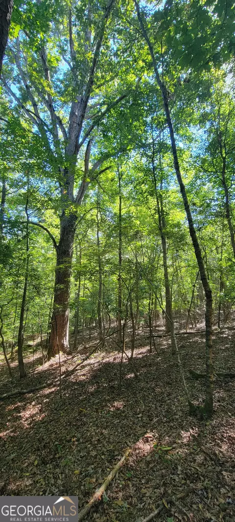 5 Ripplewood Trl, Euharlee, GA 30145 photo 2