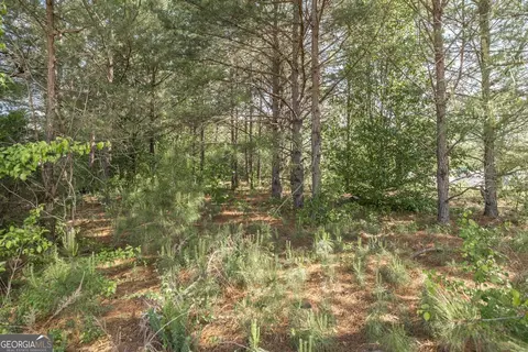Other - 102 Clarks Ct #96, Jackson, GA 30233 photo 9 of 11