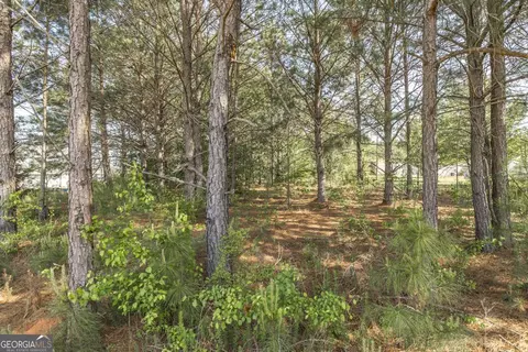 Other - 102 Clarks Ct #96, Jackson, GA 30233 photo 10 of 11