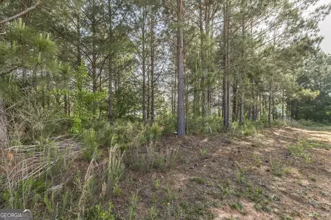 Other - 102 Clarks Ct #96, Jackson, GA 30233 photo 11 of 11