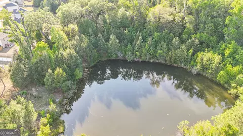 View/Area - 258 Nashview Trl, Allenhurst, GA 31301 photo 2 of 2