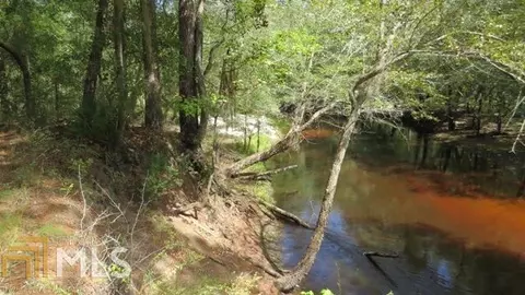 0 Area Line Rd, Claxton, GA 30417 photo 8