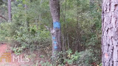0 Area Line Rd, Claxton, GA 30417 photo 5