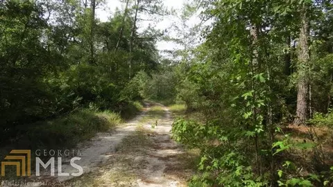 0 Area Line Rd, Claxton, GA 30417 photo 11
