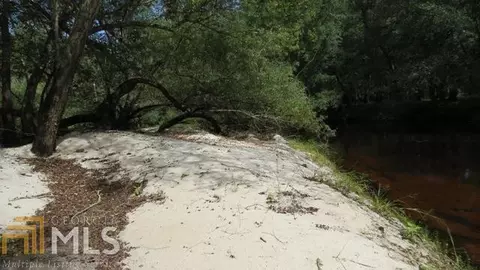 0 Area Line Rd, Claxton, GA 30417 photo 9