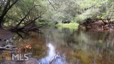 0 Area Line Rd, Claxton, GA 30417