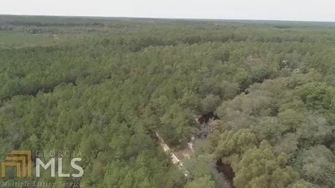0 Area Line Rd, Claxton, GA 30417 photo 2