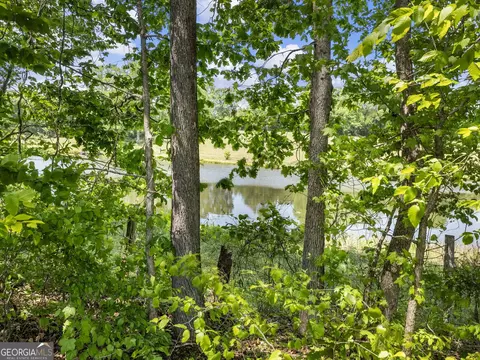 View/Area - 5228 Bogus Rd, Gainesville, GA 30506 photo 1 of 2
