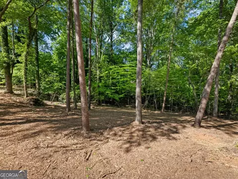 Exterior - 3045 Fowler Rd, Gainesville, GA 30501 photo 10 of 10