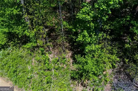0 Fire Tower Rd #LOT 7, Jasper, GA 30143 photo 5