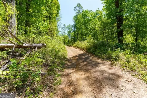 0 Fire Tower Rd #LOT 7, Jasper, GA 30143 photo 2