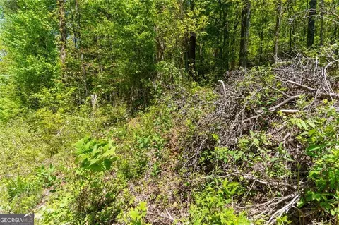 0 Fire Tower Rd #LOT 7, Jasper, GA 30143 photo 6