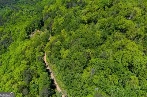 0 Fire Tower Rd #LOT 7, Jasper, GA 30143 photo 11