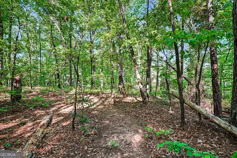 0 Ham Rd, Jackson, GA 30233