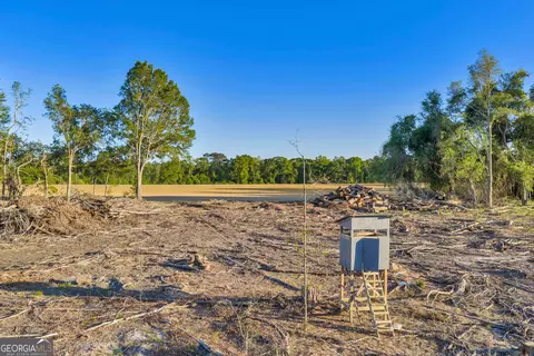 0 Daffodil Rd, Ocilla, GA 31774 photo 16