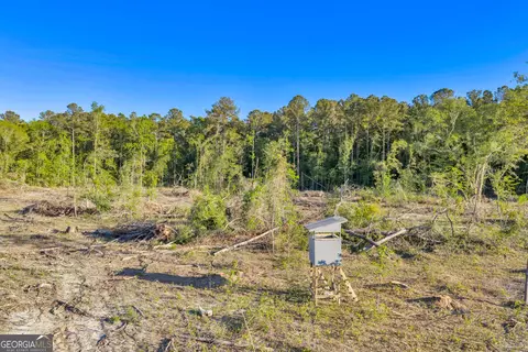 0 Daffodil Rd, Ocilla, GA 31774 photo 20