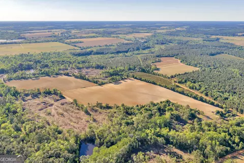 0 Daffodil Rd, Ocilla, GA 31774 photo 33