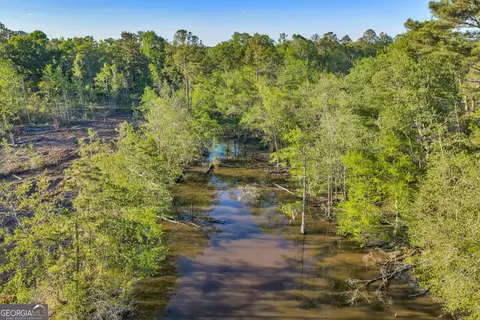 0 Daffodil Rd, Ocilla, GA 31774 photo 18