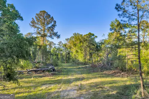 0 Daffodil Rd, Ocilla, GA 31774 photo 13