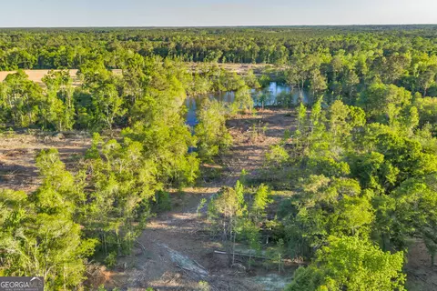 0 Daffodil Rd, Ocilla, GA 31774 photo 15