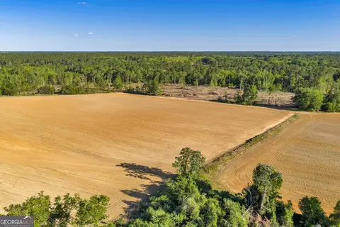 0 Daffodil Rd, Ocilla, GA 31774 photo 28