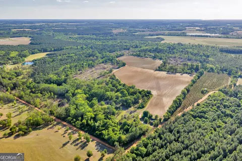 0 Daffodil Rd, Ocilla, GA 31774 photo 31