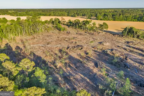 0 Daffodil Rd, Ocilla, GA 31774 photo 39