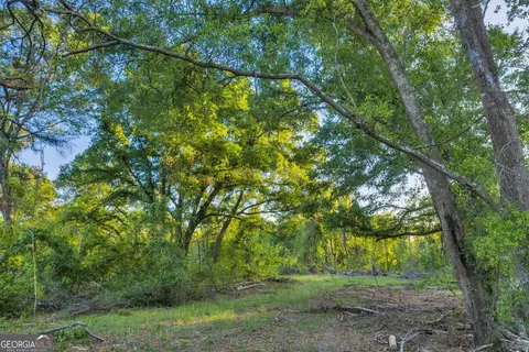 0 Daffodil Rd, Ocilla, GA 31774 photo 38