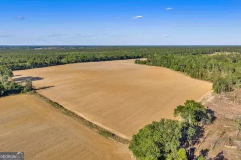 0 Daffodil Rd, Ocilla, GA 31774 photo 11