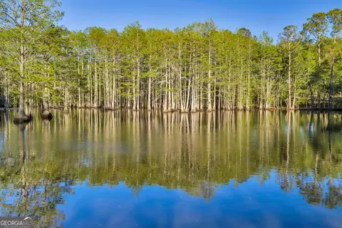 0 Daffodil Rd, Ocilla, GA 31774 photo 5