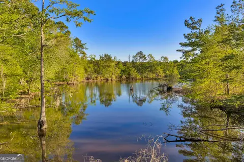 0 Daffodil Rd, Ocilla, GA 31774 photo 2