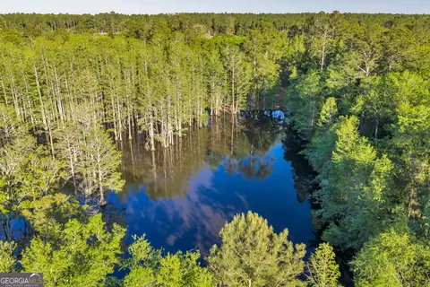 0 Daffodil Rd, Ocilla, GA 31774 photo 23
