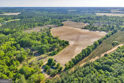 0 Daffodil Rd, Ocilla, GA 31774 photo 3