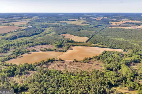 0 Daffodil Rd, Ocilla, GA 31774 photo 32