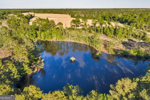 0 Daffodil Rd, Ocilla, GA 31774 photo 6