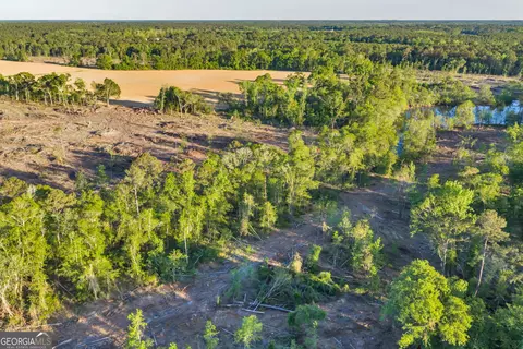 0 Daffodil Rd, Ocilla, GA 31774 photo 49