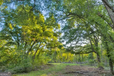 0 Daffodil Rd, Ocilla, GA 31774 photo 9
