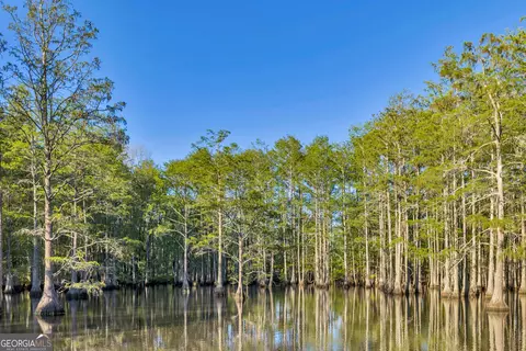 0 Daffodil Rd, Ocilla, GA 31774 photo 44