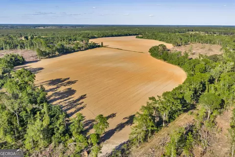 0 Daffodil Rd, Ocilla, GA 31774 photo 26