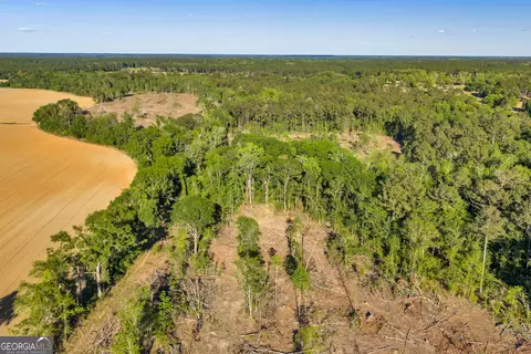 0 Daffodil Rd, Ocilla, GA 31774 photo 37