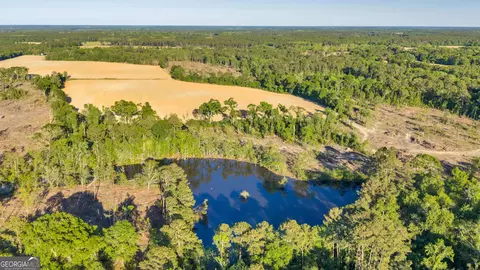 0 Daffodil Rd, Ocilla, GA 31774 photo 19