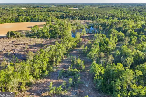0 Daffodil Rd, Ocilla, GA 31774 photo 12