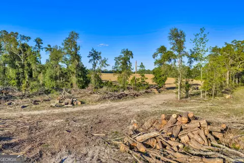 0 Daffodil Rd, Ocilla, GA 31774 photo 43