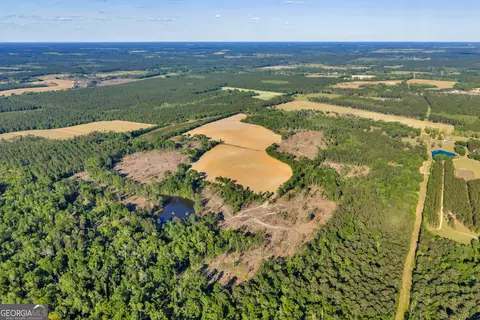 0 Daffodil Rd, Ocilla, GA 31774 photo 7