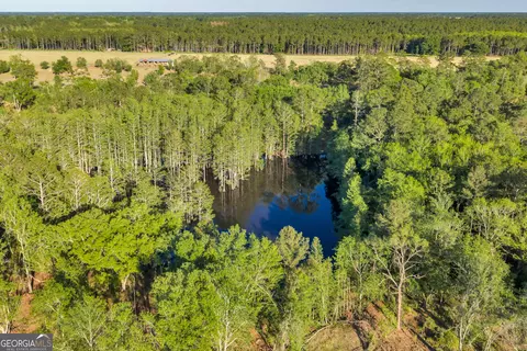 0 Daffodil Rd, Ocilla, GA 31774 photo 47