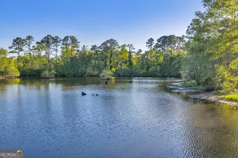 0 Daffodil Rd, Ocilla, GA 31774 photo 14