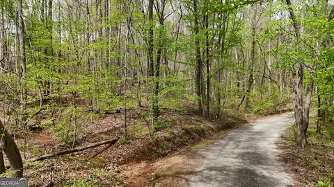 0 Shenandoah Dr, Cleveland, GA 30528